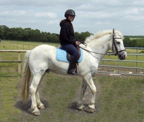 Neugierig3 aus Basel-Landschaft,Schweiz